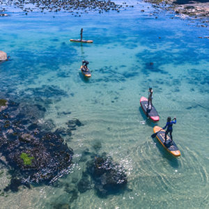 Penguins, Picnic & Paddleboard